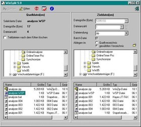 WinSplit95