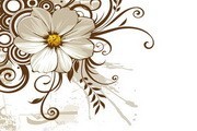 野菊花和时尚花纹矢量图