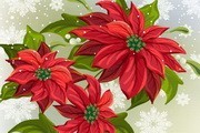 圣诞写实鲜花矢量素材