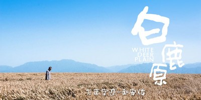 方正字迹赵安体