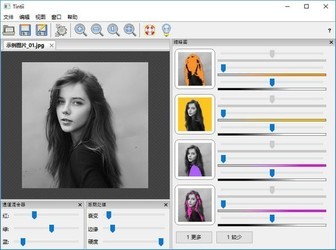 TintiiPhotoFilter图像分色工具