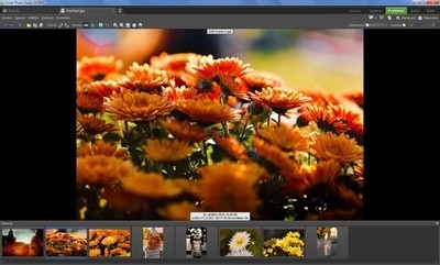 ZonerPhotoStudioPro数码照片处理软件