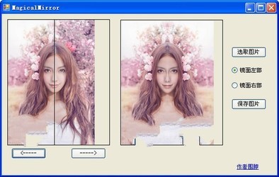 MagicalMirror左右脸对称软件