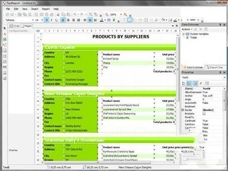 FastReport.Netfor.net4.0