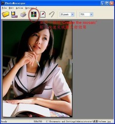PhotoMosaique马赛克图片制作工具