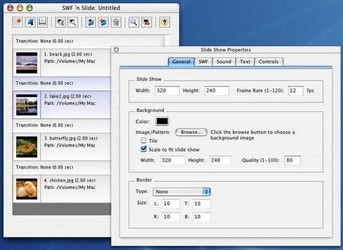SWF N Slide 1.118