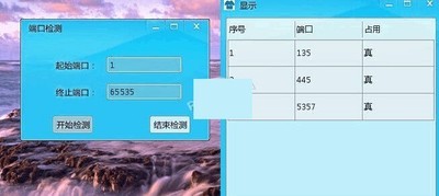 扫面端口
