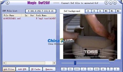 MagicSwf2Avi