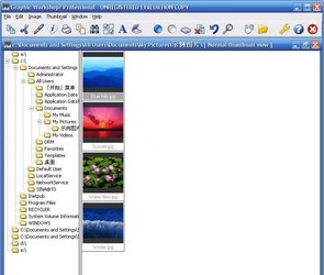 GraphicWorkshopProfessional图形转换