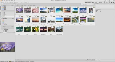 ACDSee20简体中文版