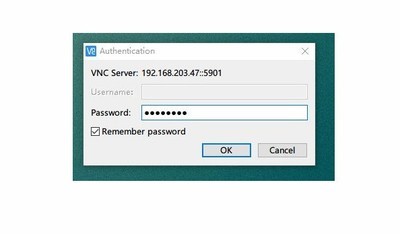  VNC Viewer 6.19