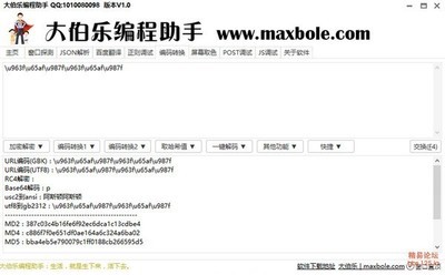 大伯乐编程助手