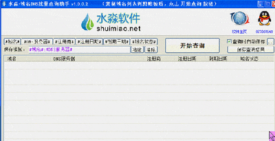 水淼・域名DNS批量查询助手