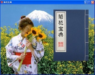 五十音图打字游戏(菊花宝典)