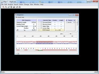  Oligo 7.56