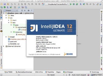 IntelliJIDEA