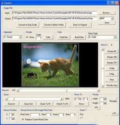 GOGO Picture Viewer Pro ActiveX Control 4.69