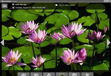 photology照片管理编辑免费软件 2.0.117