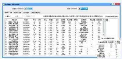 拼多多推广数据分析软件 1.0官方版