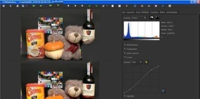 GTKRawGallery for Linux照片管理工具 0.9.8