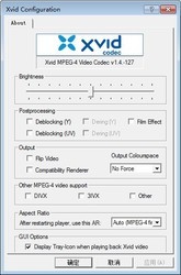 xvidvideocodec