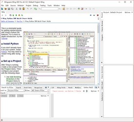 WingwareWingIDEPro(编程开发集成环境)