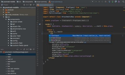 JetBrainsWebStorm(前端开发软件)