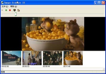 视频截图软件(Image Grabber II) 汉化绿色特别版