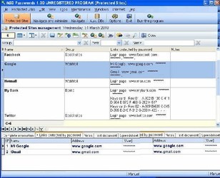 MSDPasswordsPortable