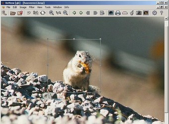 XnView图像查看器