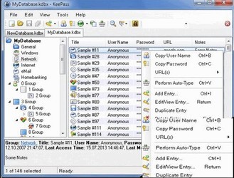 KeePassPasswordSafeProfessionalPortable