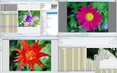 Portable WildBit Viewer 6.3