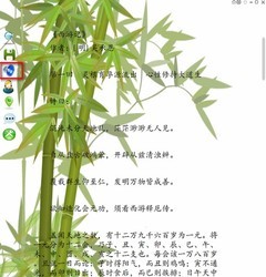 任性txt小说朗读器
