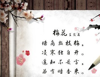 梅花魂课件ppt版