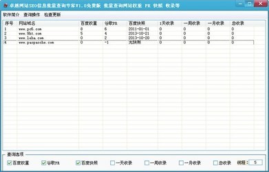 卓越网站SEO信息批量查询专家