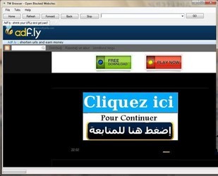 TWBrowser