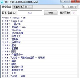 VIP高品质无损音乐MV下载工具