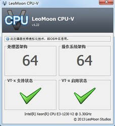 cpu虚拟化检测工具LeoMoonCPU-V