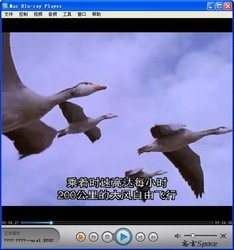 mac播放器(Mac Blu-ray Player) 2.10.7