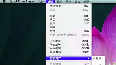 苹果视频播放器(Apple QuickTime) 7.7.9