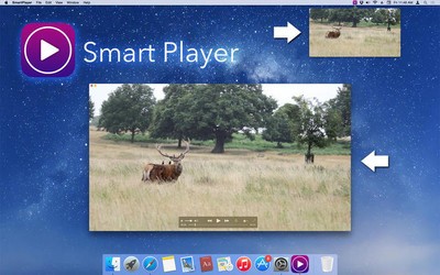 大华视频播放器(SmartPlayer)