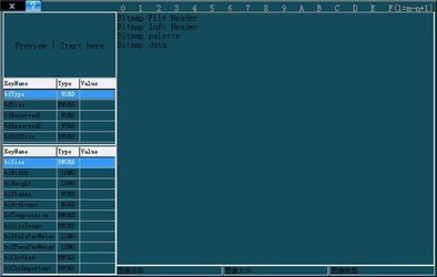 bmp位图分析工具(BitmapInfoAnalyzer)