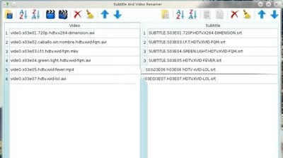 SubtitleAndVideoRenamer