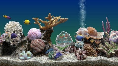 MarineAquarium3屏保工具
