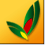 ״ʯؿӡ31.0.7 ٷ