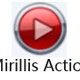  Mirillis Action