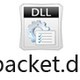 packet.dll