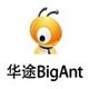��;BigAnt