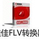 ѼFLVת