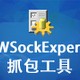 WSockExpert
